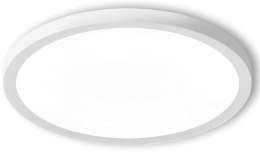 LAMPA LED SUFITOWA PLAFON RING ŻYRANDOL OPRAWA natynkowa 30 cm neutralna